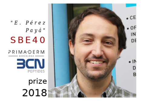 The Executive Council of SBE has awarded the 2018 “Enrique Pérez-Payá” – SBE-40 prize to: