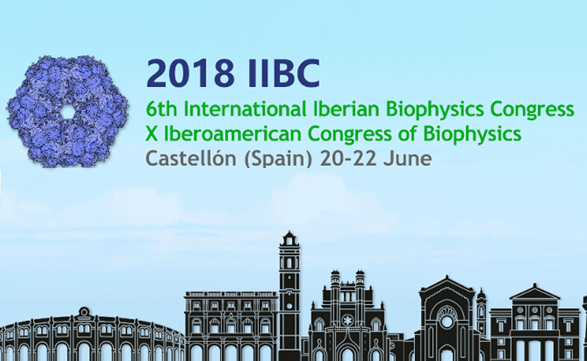 6TH INTERNATIONAL IBERIAN BIOPHYSICS CONGRESS