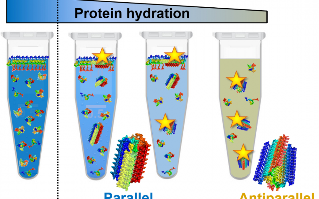 #paperhighlights Oct2020 #1