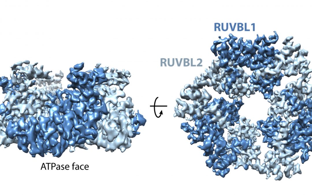 #paperhighlights Nov2020 #2