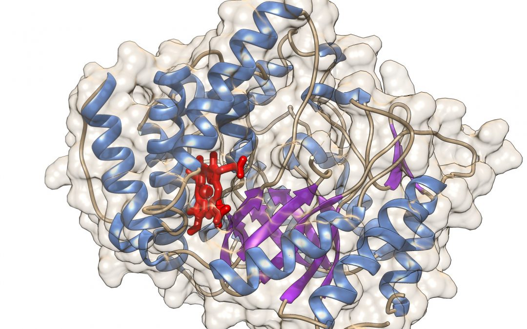 #paperhighlights Jan2021 #2