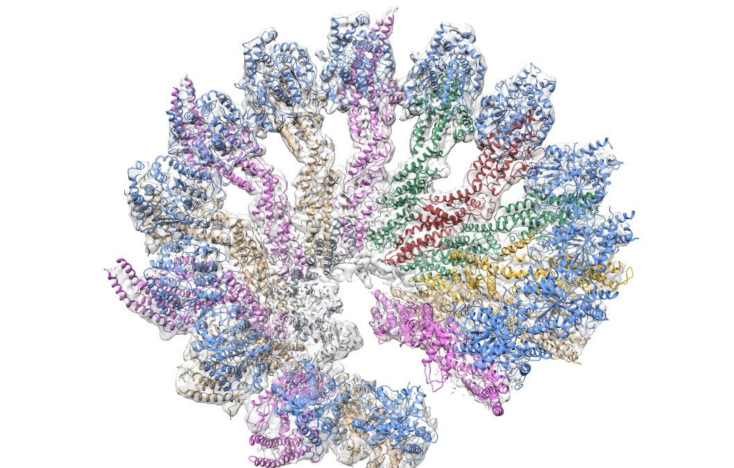 #paperhighlights Dec2020 #1