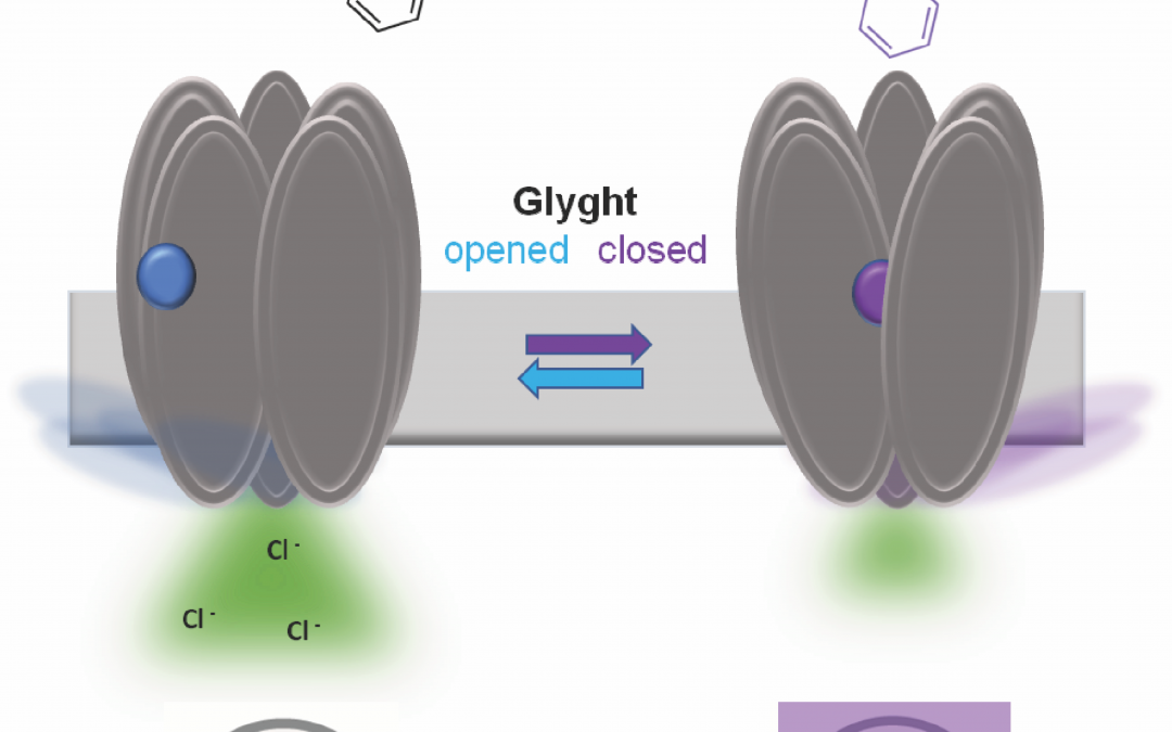 #paperhighlights Nov2020 #1