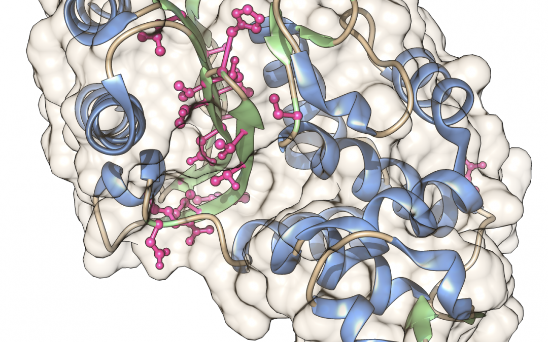 #paperhighlights Mar2021 #2