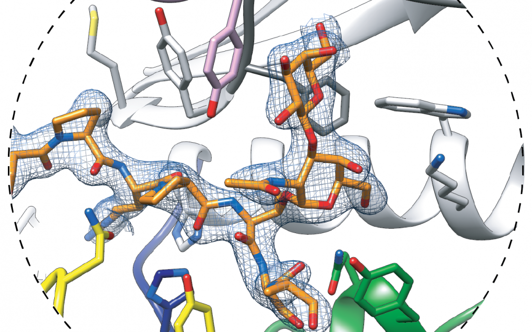 #paperhighlights Sept2020 #2