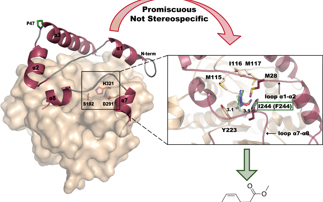 #paperhighlights Apr2021 #1