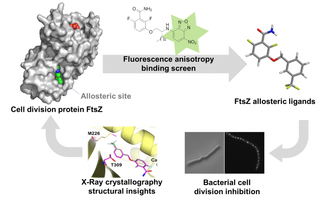 #paperhighlights May2021 #1