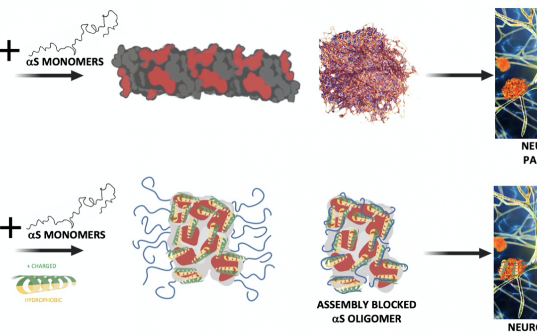 #paperhighlights Jun2021 #1
