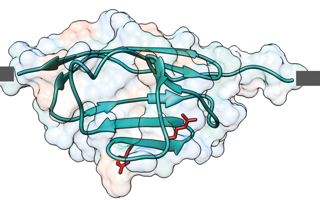#paperhighlights Jun2021 #3