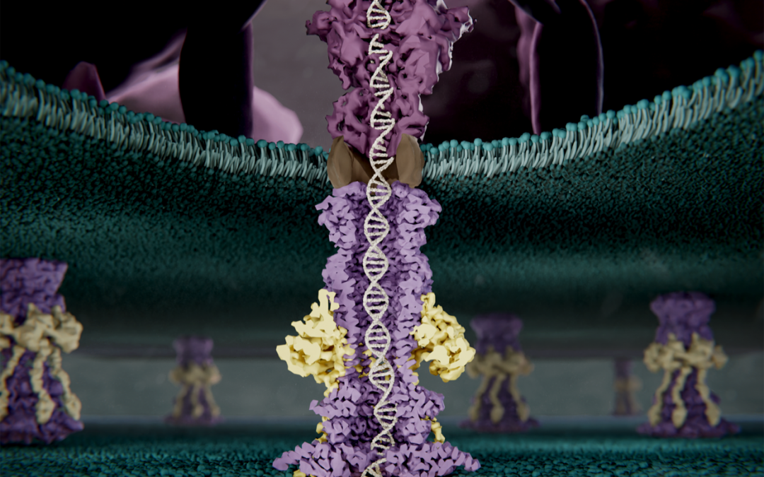 #paperhighlights Aug2021 #3