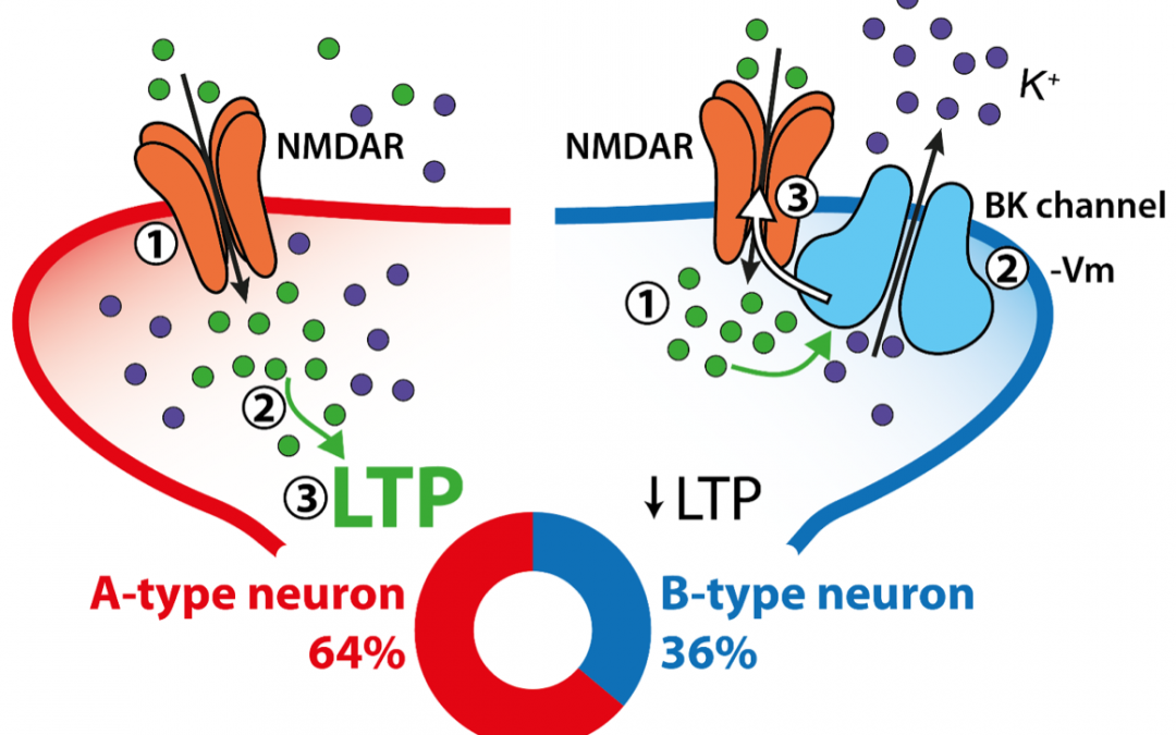 #paperhighlights Aug2021 #2