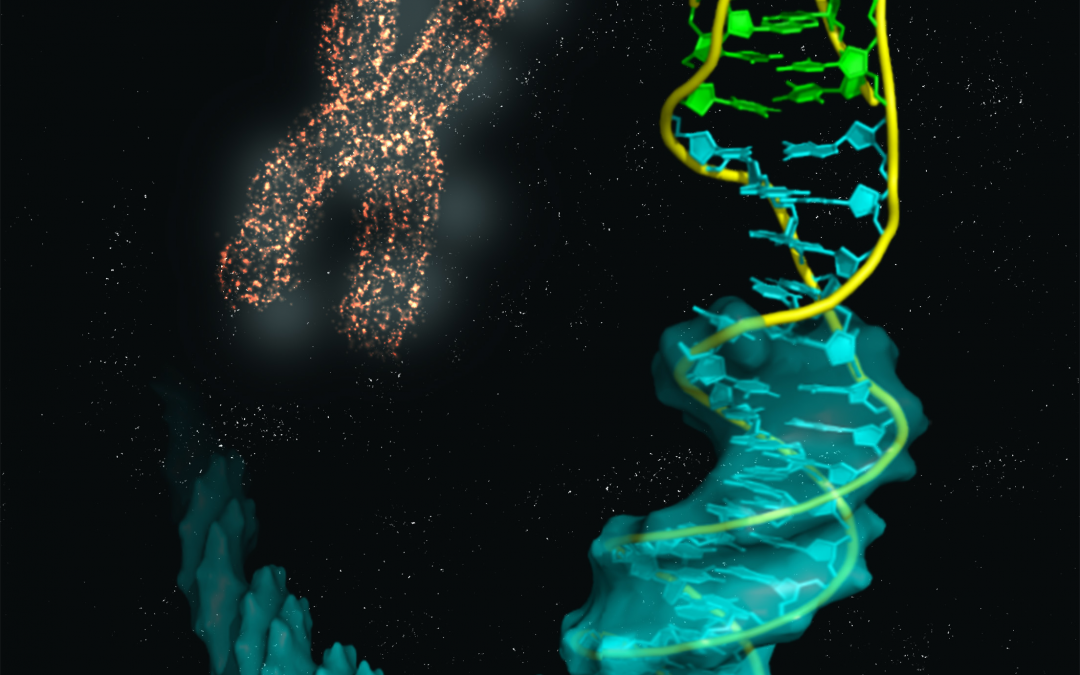 #paperhighlights Aug2021 #1