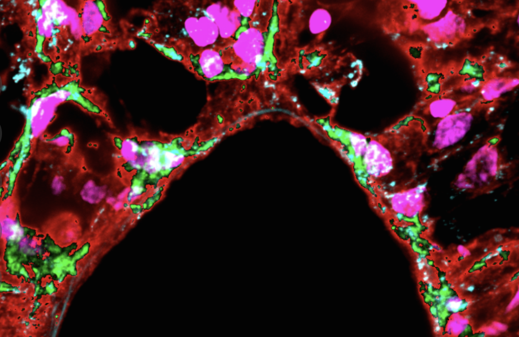 #paperhighlights Jul2021 #1