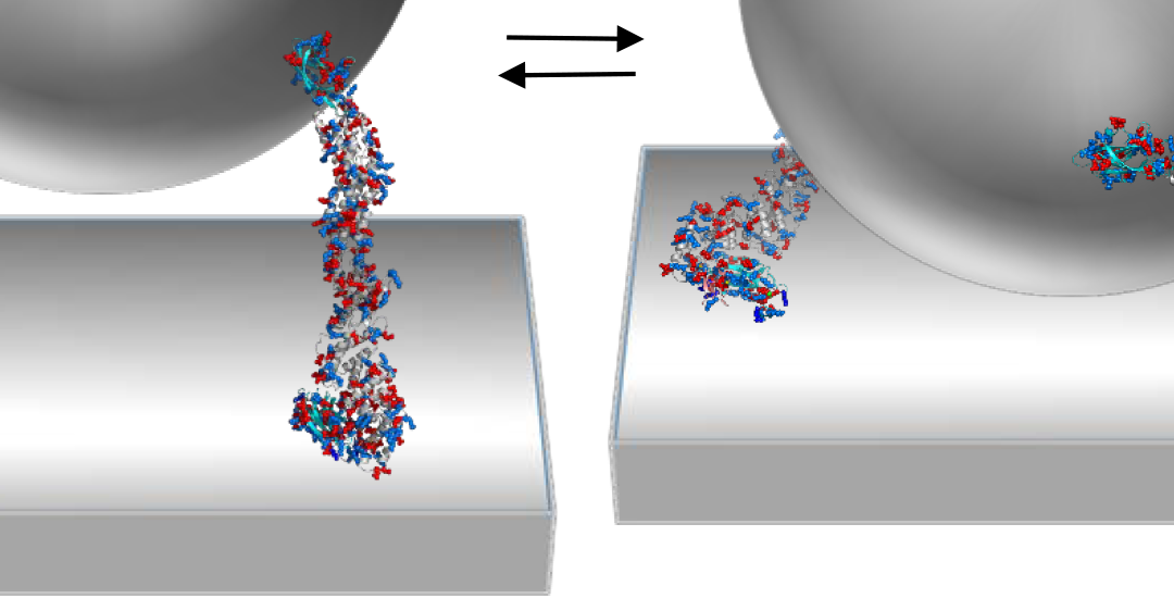 #paperhighlights Nov2021 #1