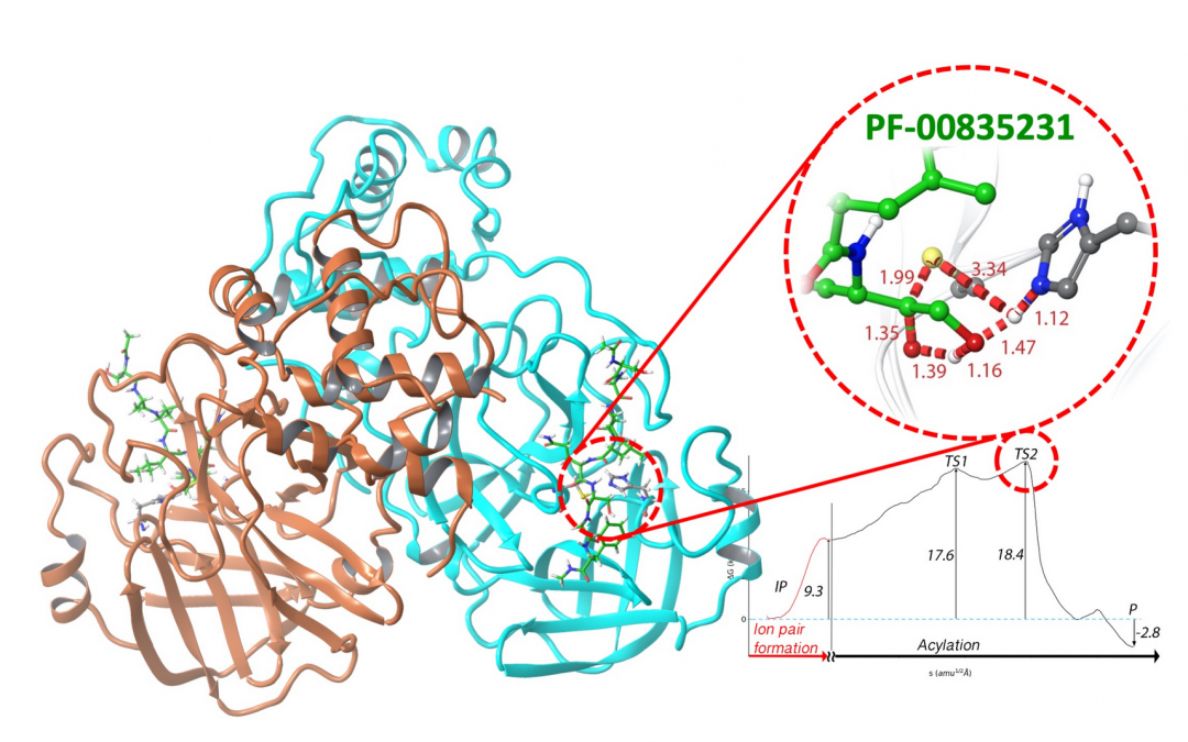 #paperhighlights Dec2021 #1
