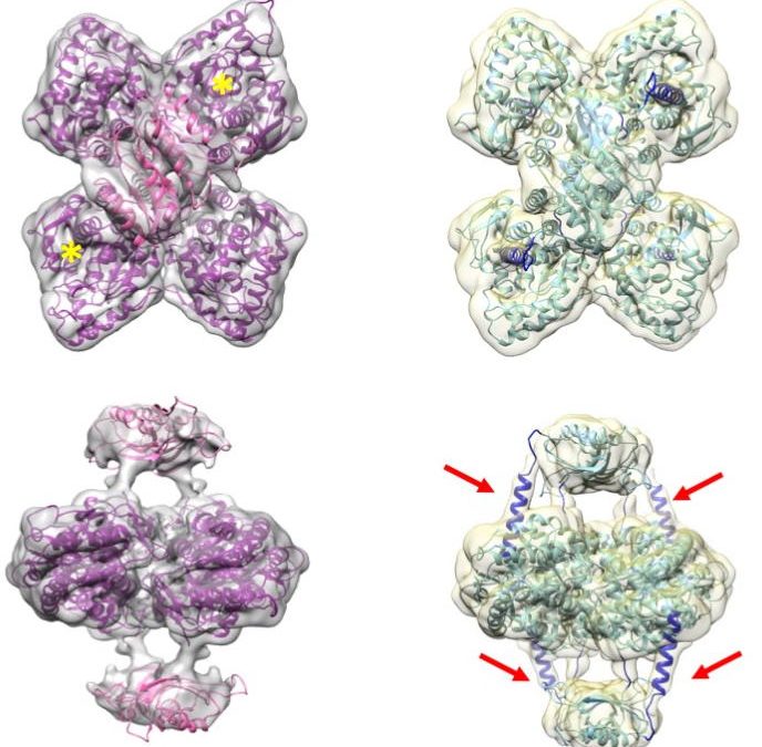 #paperhighlights Jan2022 #1