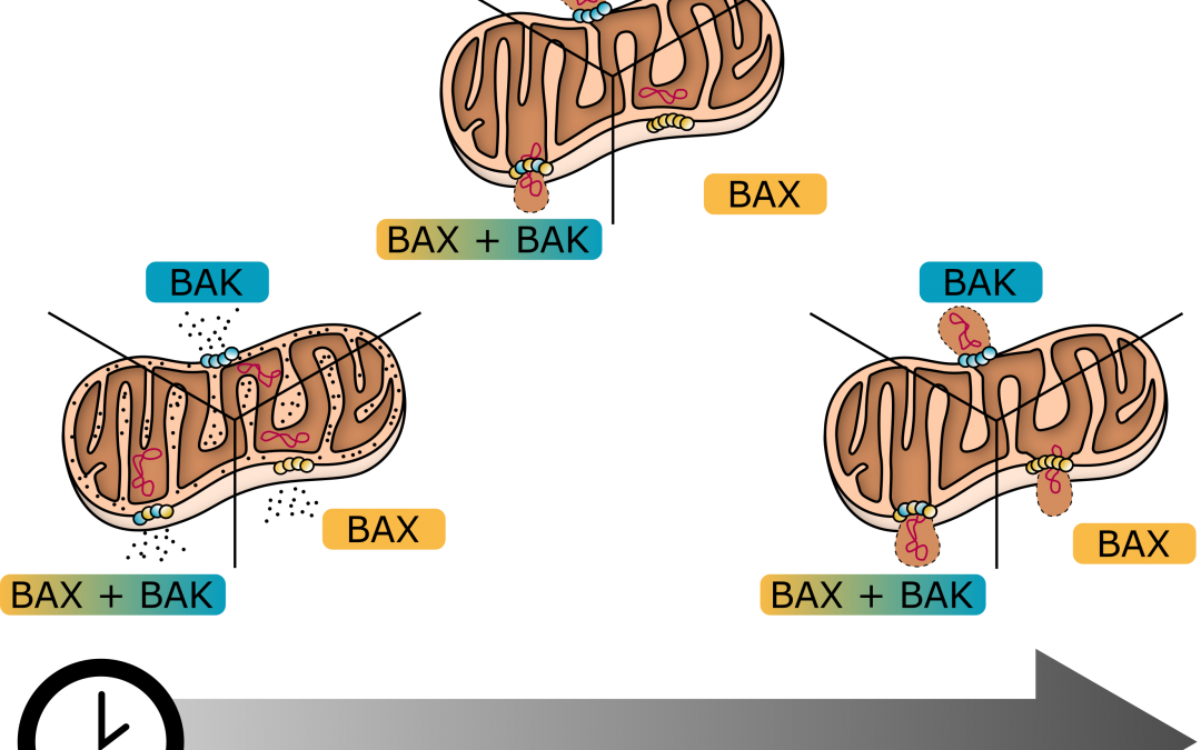 #paperhighlights Feb2022 #1