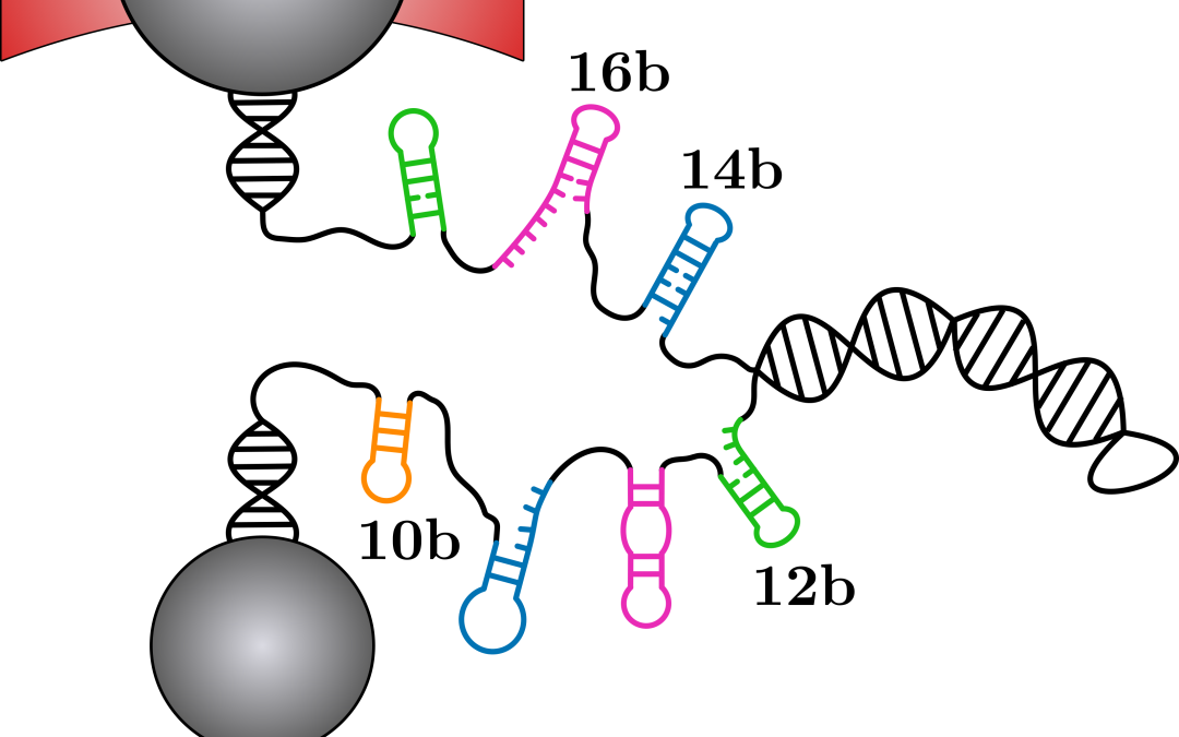 #paperhighlights Jan2022 #3