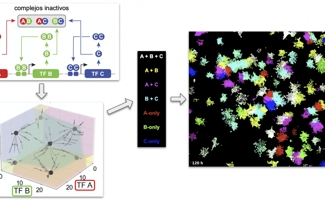 #paperhighlights Jan2022 #4