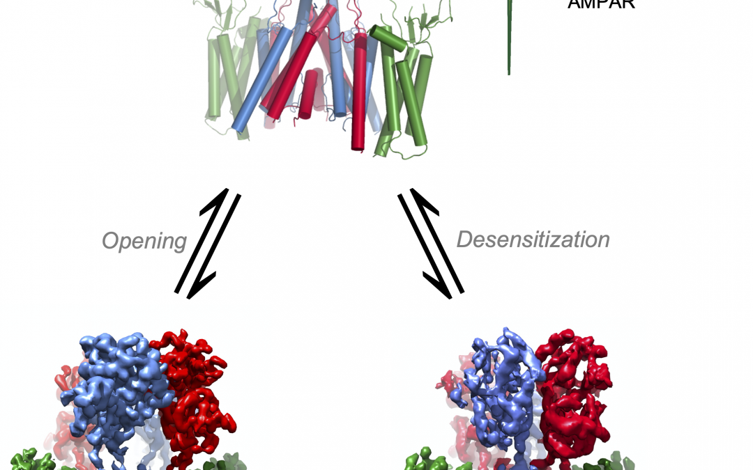 #paperhighlights Feb2022 #2