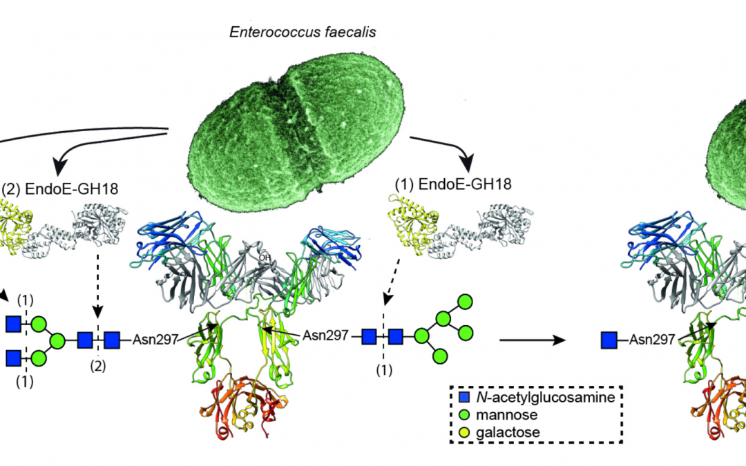 #paperhighlights Mar2022 #2