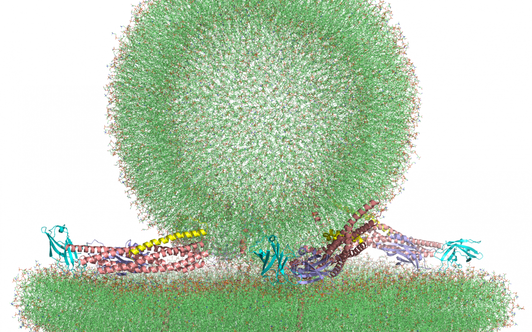 #paperhighlights June2022 #1