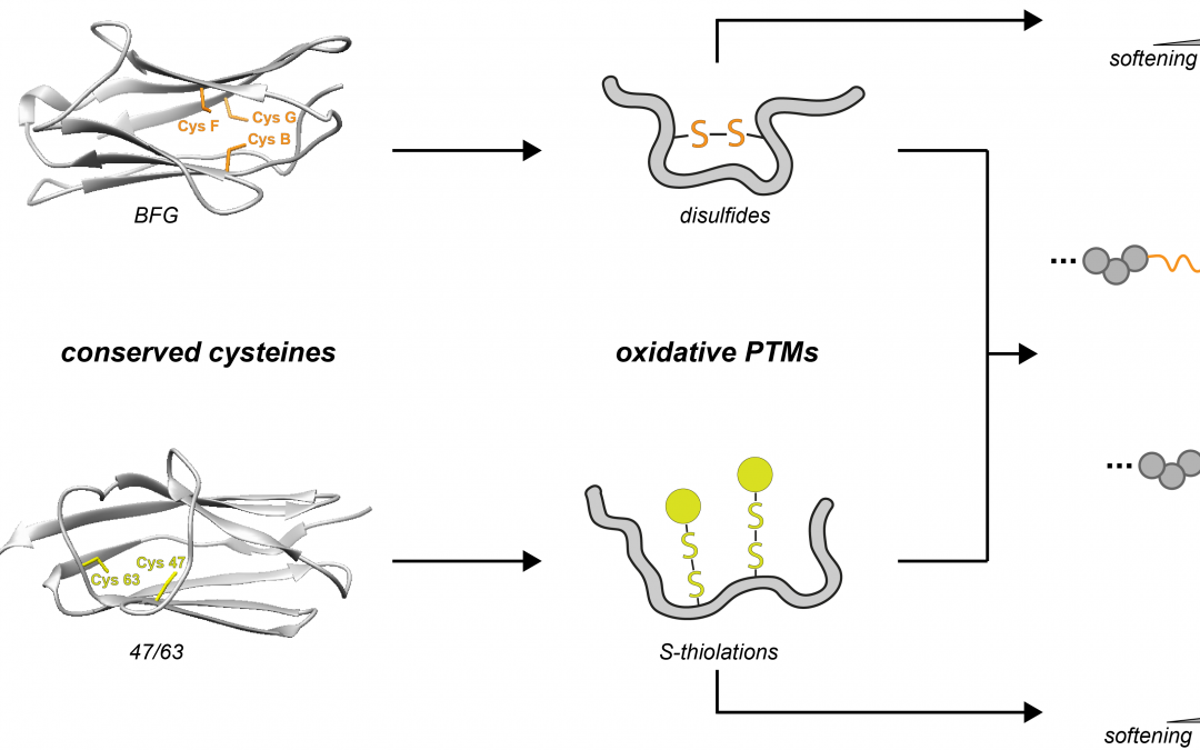 #paperhighlights June2022 #2