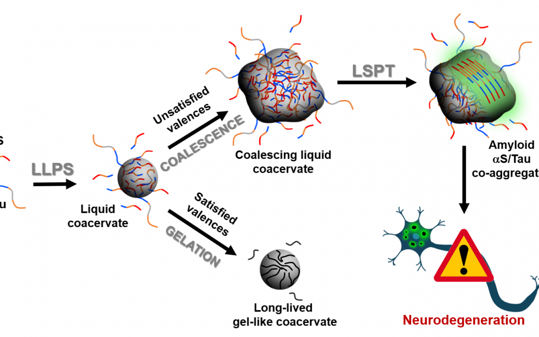#paperhighlights Aug2022 #3