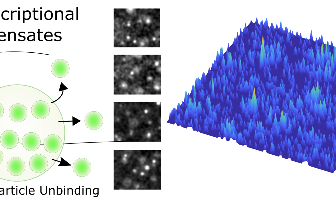 #paperhighlights Aug2022 #2