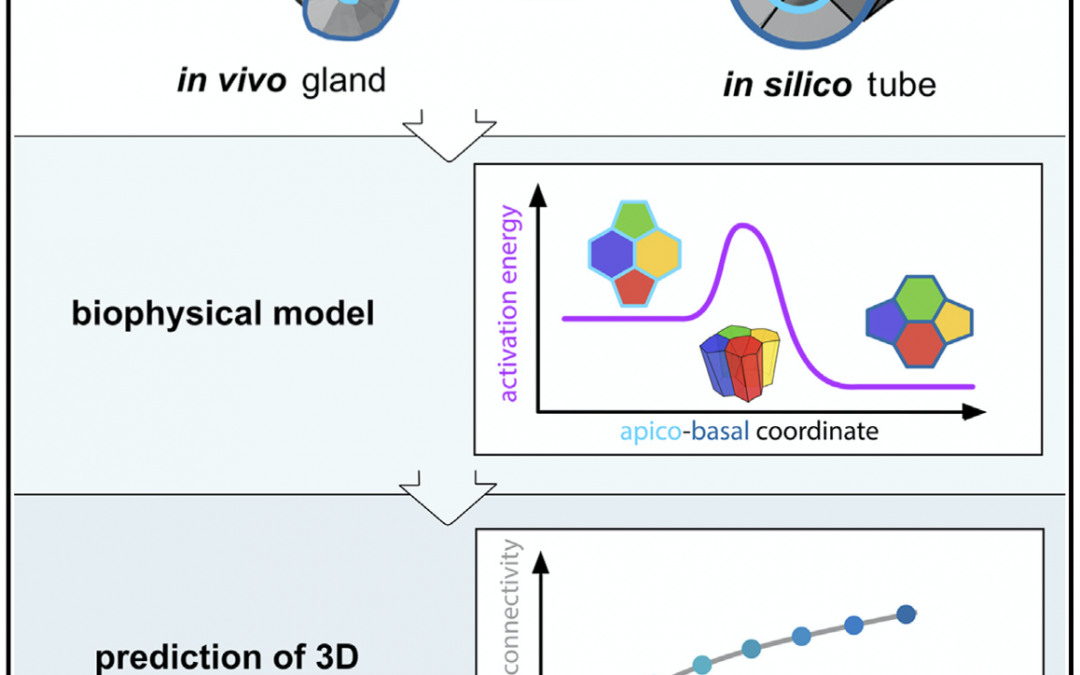 #paperhighlights Aug2022 #1