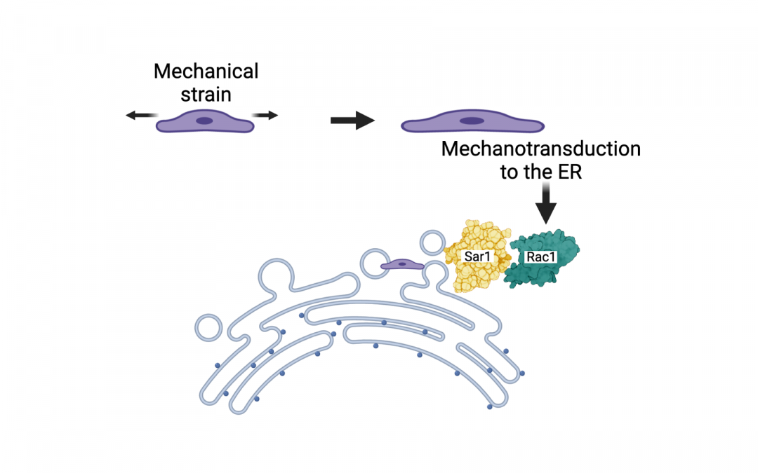 #paperhighlights Aug2022 #4