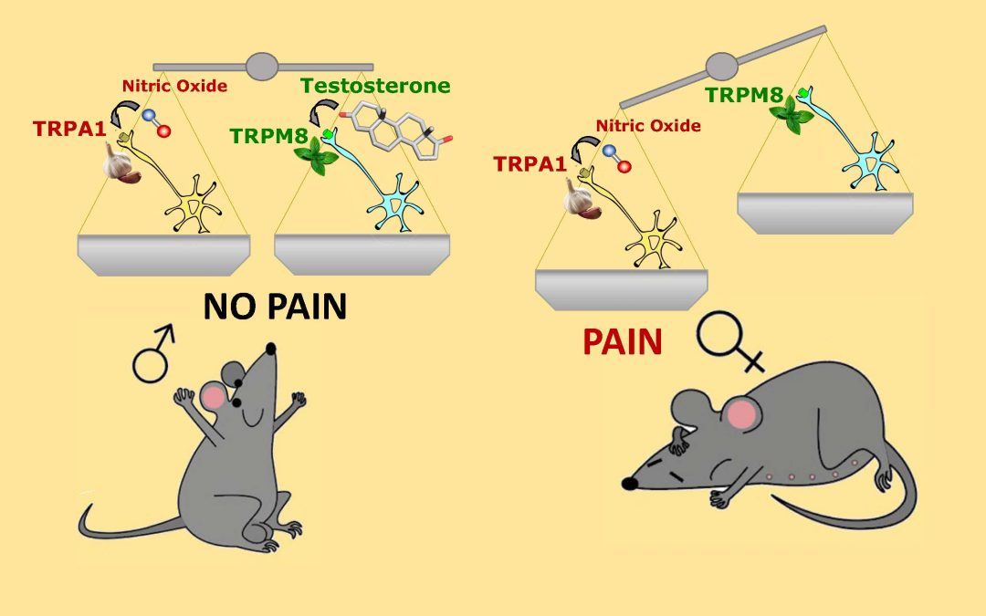 #paperhighligths  Oct2022 #2