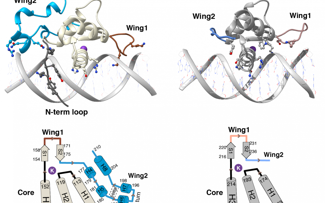 #paperhighlights Nov2022 #4