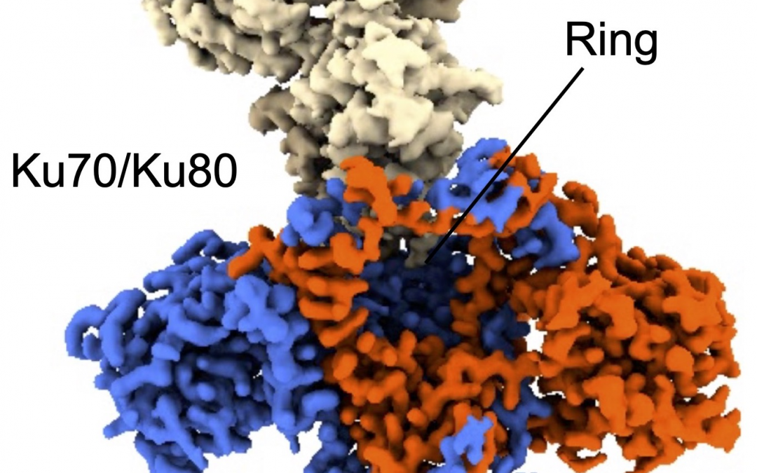 #paperhighlights Nov2022 #3