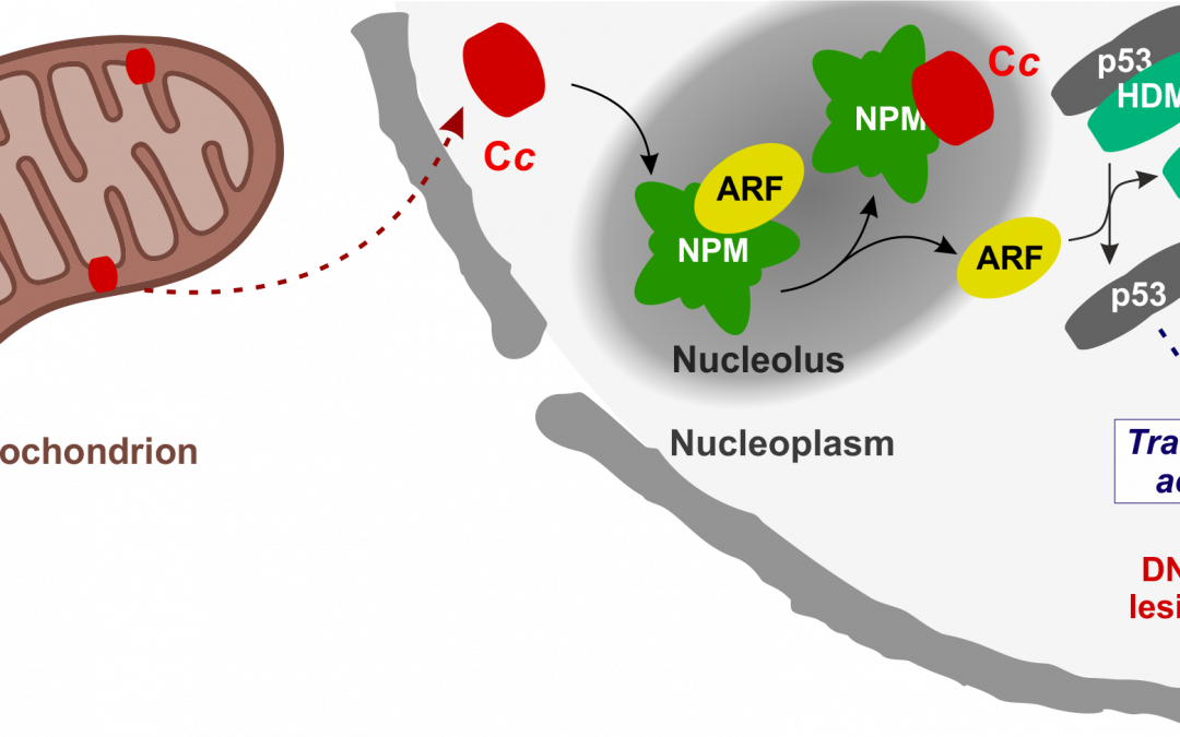 #paperhighlights Oct2022 #3