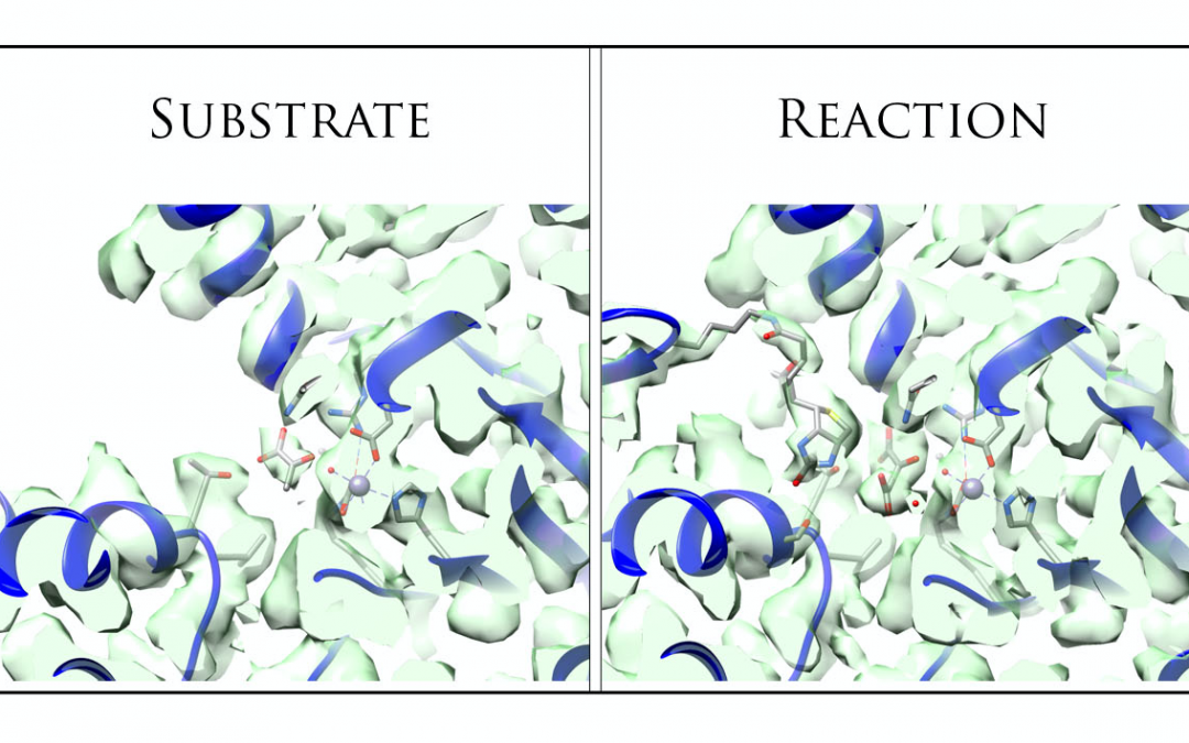#paperhighlights Oct2022 #1