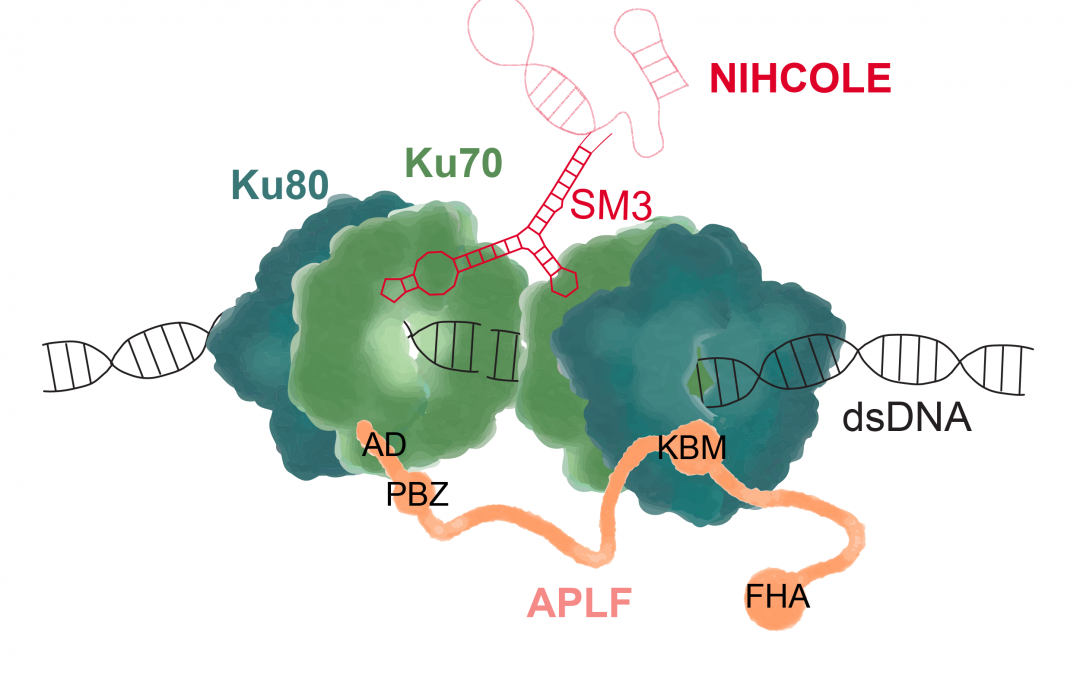 #paperhighlights Dec2022 #3