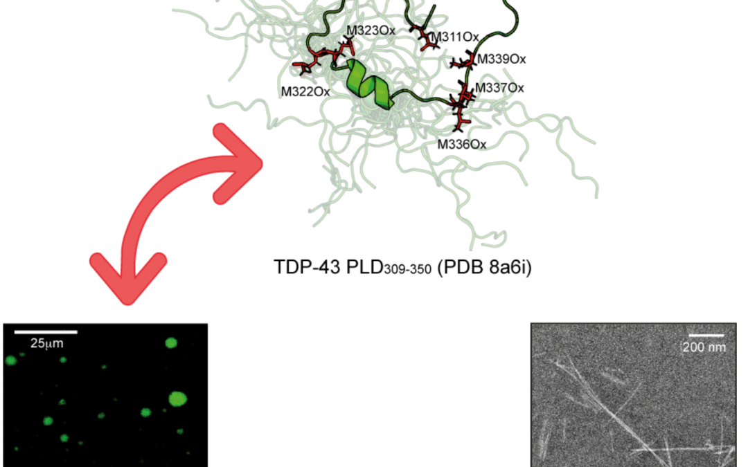#paperhighlights Jan2023 #3
