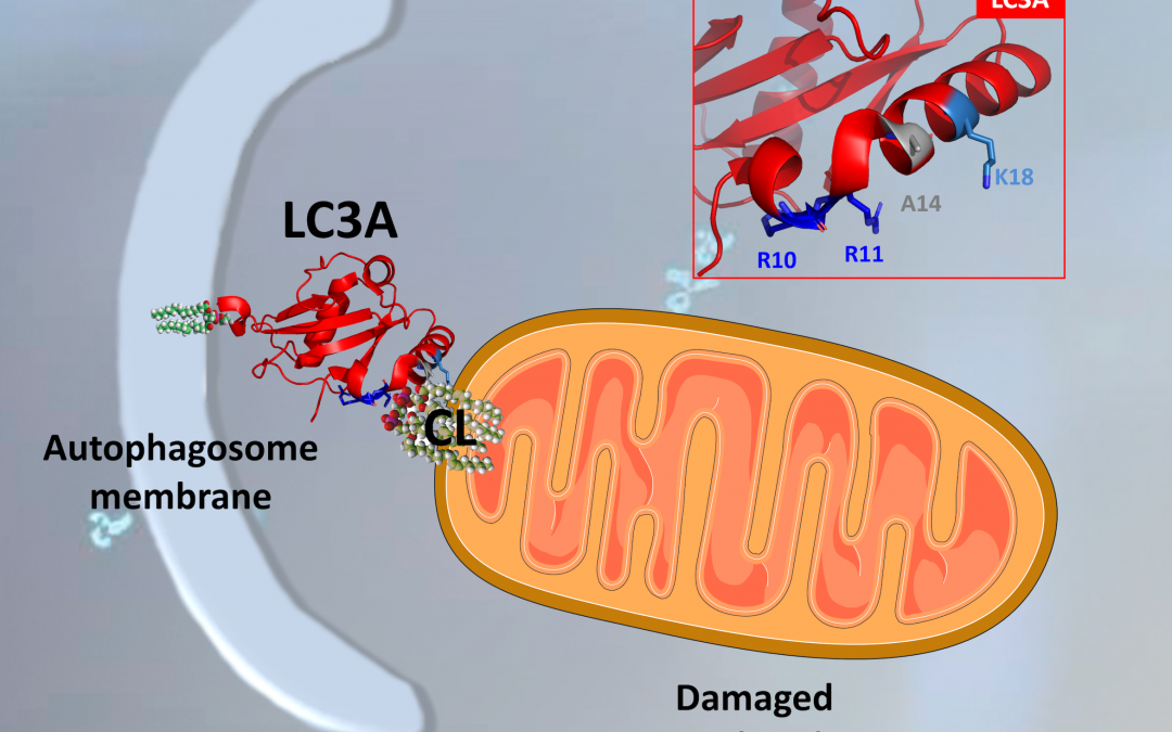 #paperhighlights Dec2022 #4