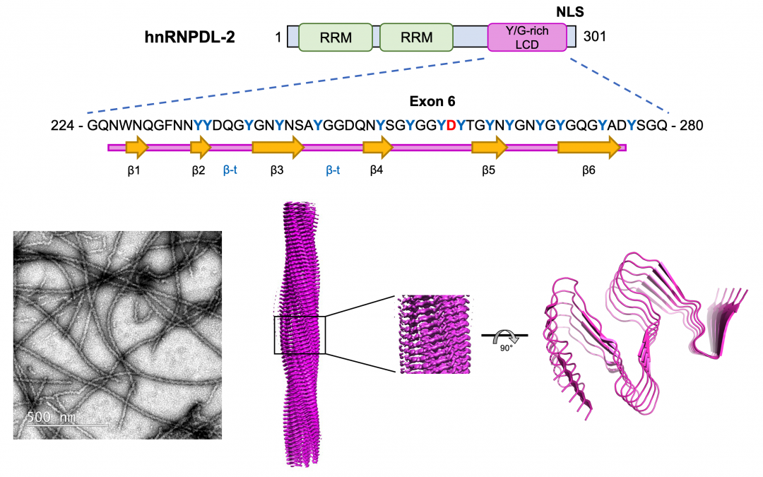 #paperhighlights Jan2023 #4