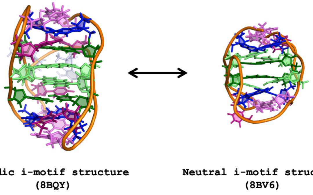 #paperhighlights Feb2023 #3