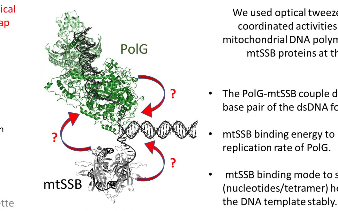 #paperhighlights Feb2023 #4
