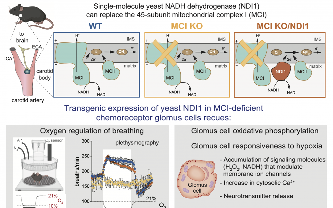 #paperhighlights Mar2023 #3