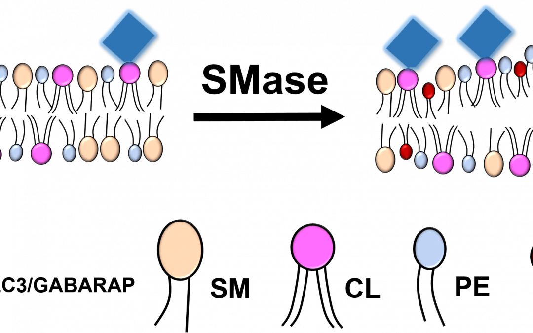 #paperhighlights May2023 #1