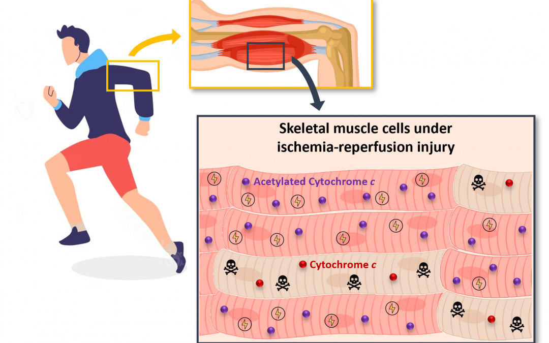 #paperhighlights Jul2023 #1