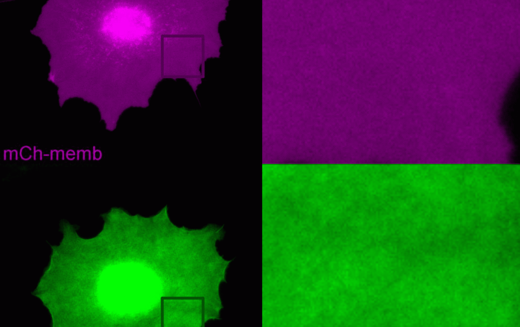 #paperighlights Sept2023 #1