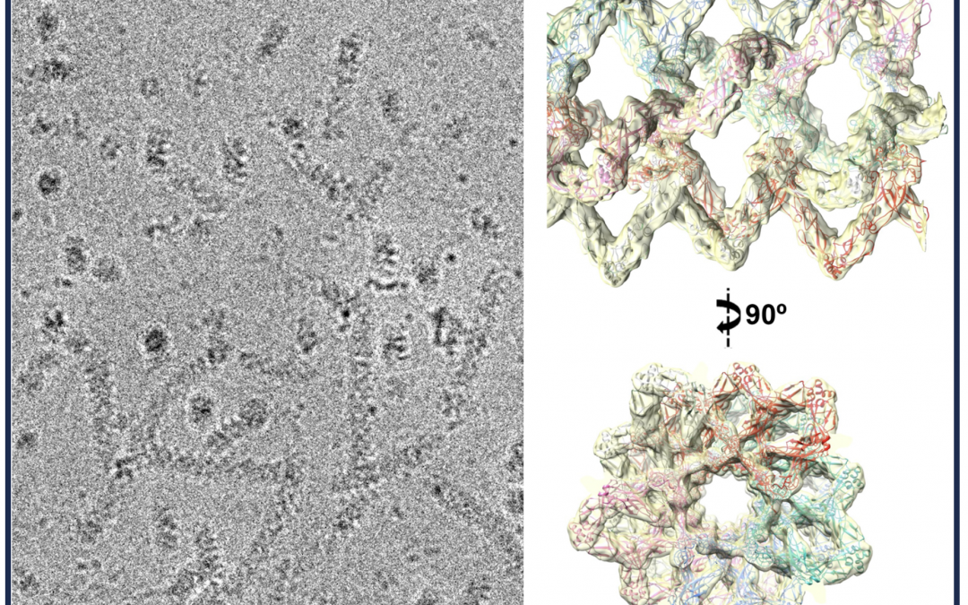 #paperhighlights Sept2023 #2