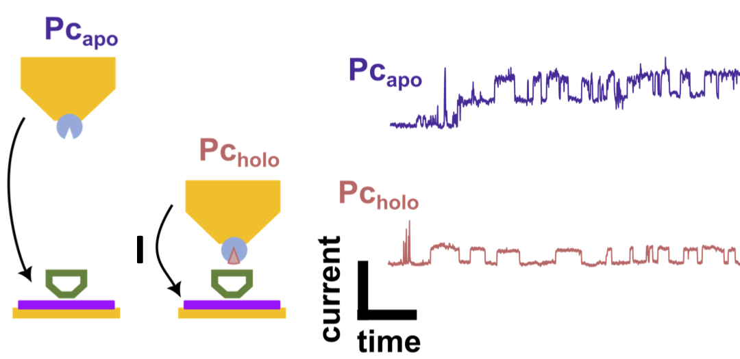 #paperhighlights Oct2023 #1