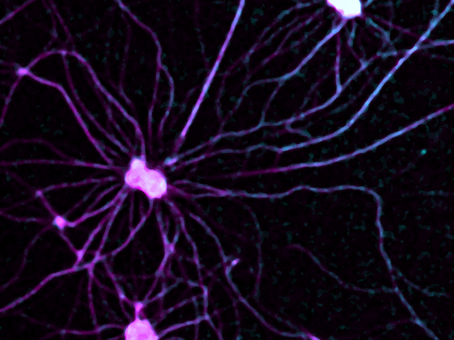 #paperhighlights Oct2023 #3