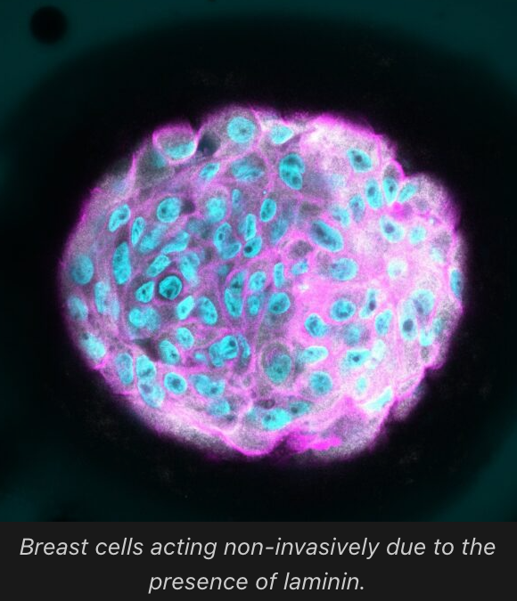 #paperhighlights Nov2023 #1